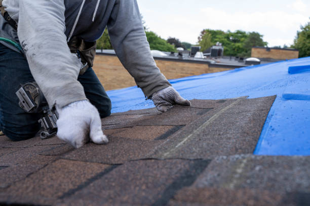 Best Flat Roof Repair Services  in Herscher, IL