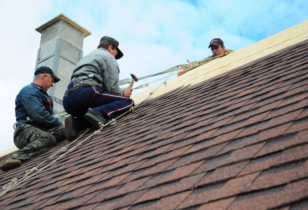 Best Emergency Roof Repair  in Herscher, IL